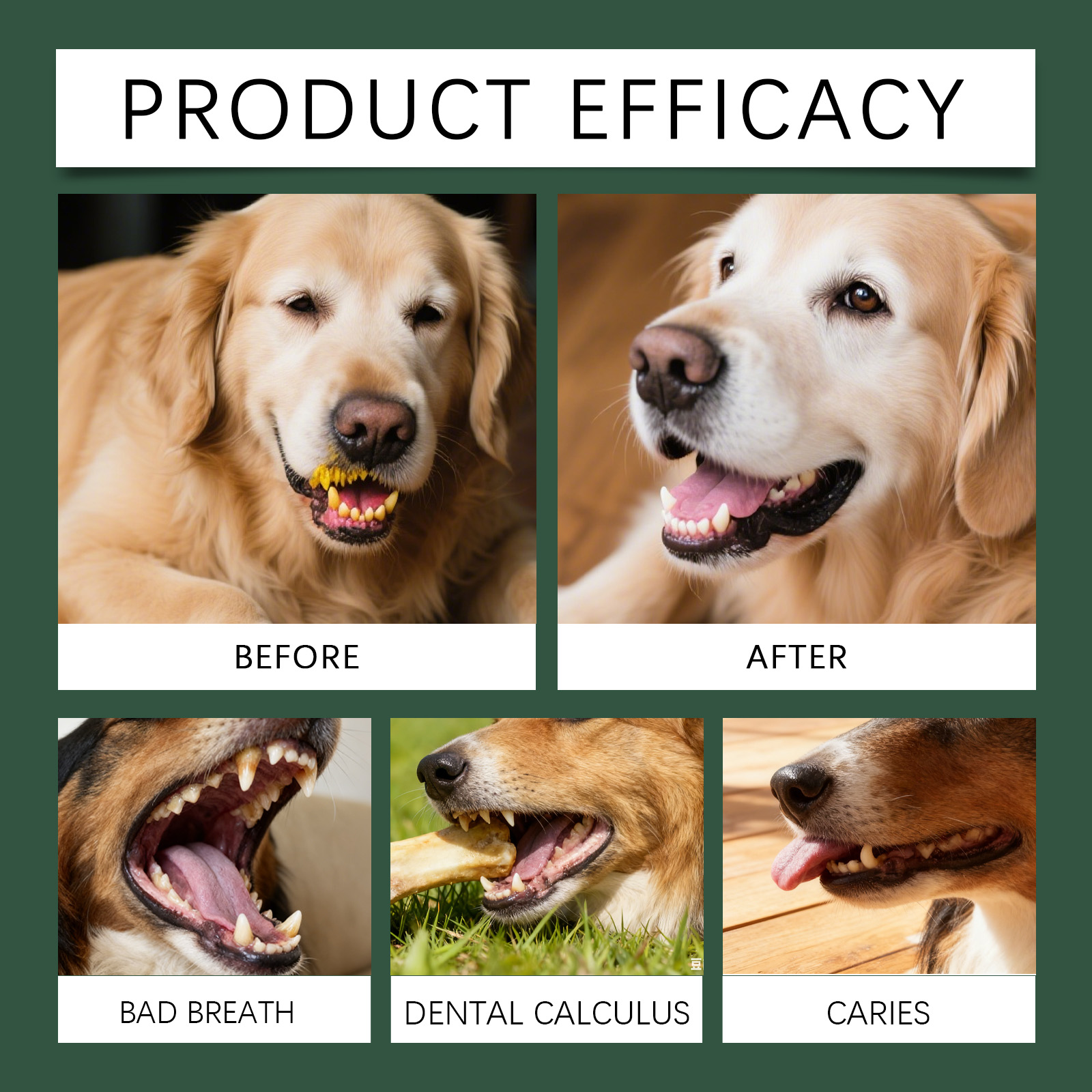 Dog Dental Care Powder Cat Bre - Teeth Whitening Powder review and price