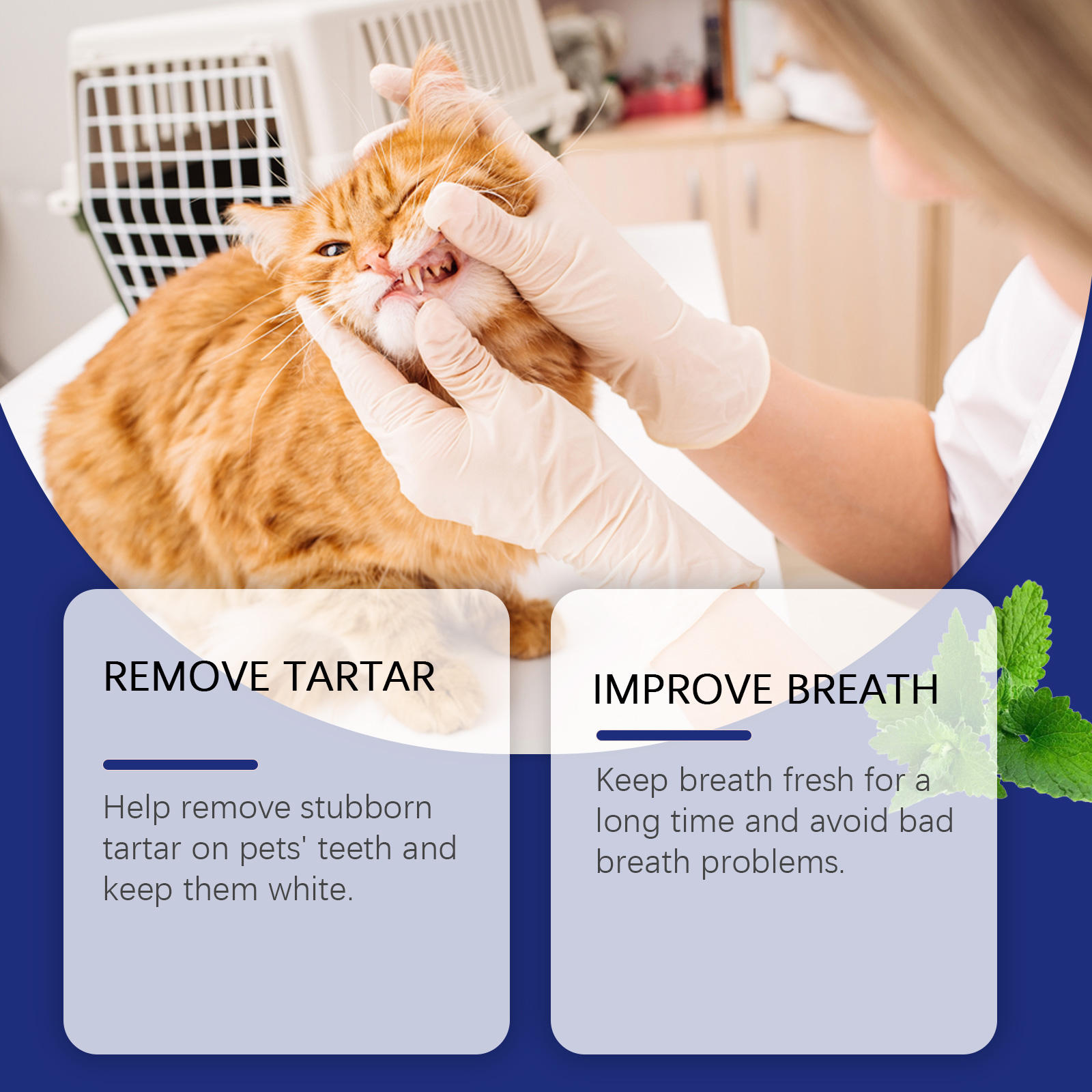 Pet Tartar Removal Tooth Powde - Teeth Whitening Powder review and price