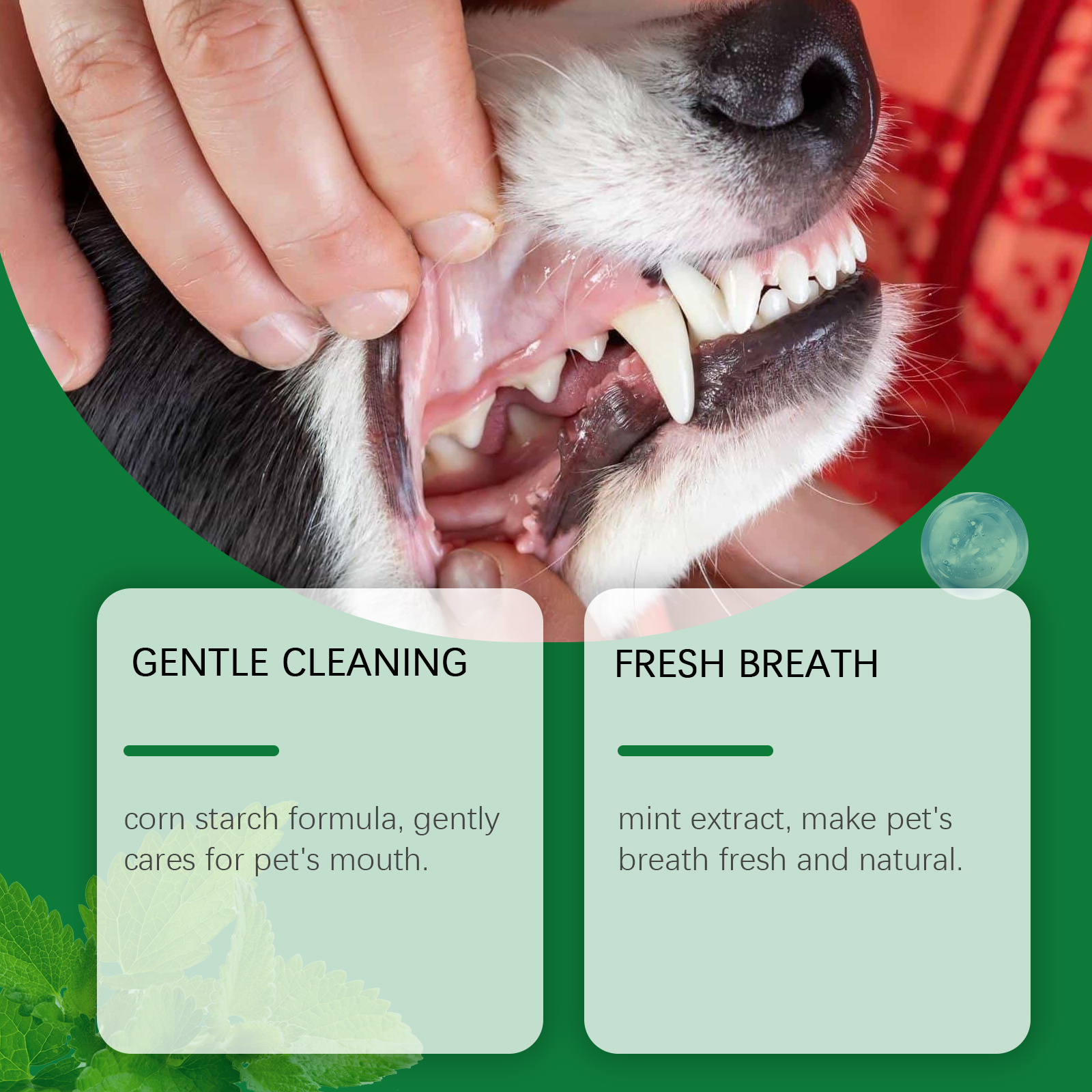 Pet Teeth Cleaning Powder Redu - Teeth Whitening Powder review and price