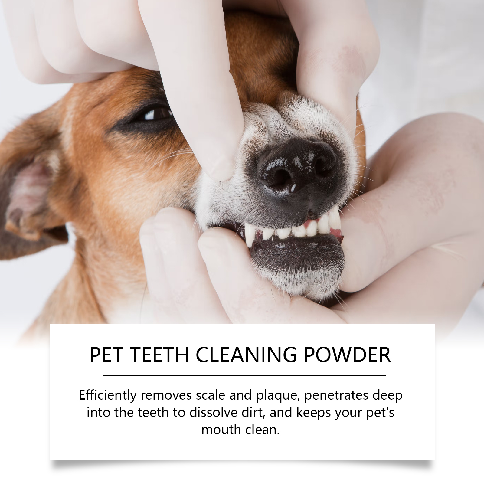 Pet Teeth Cleaning Powder Redu - Teeth Whitening Powder review and price